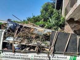 Best Moving and Downsizing Cleanouts  in Durand, MI